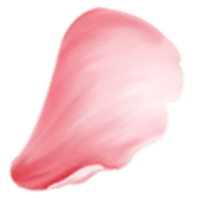 Shape