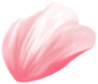 Shape